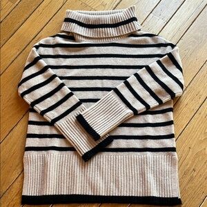Striped Turtleneck Sweater